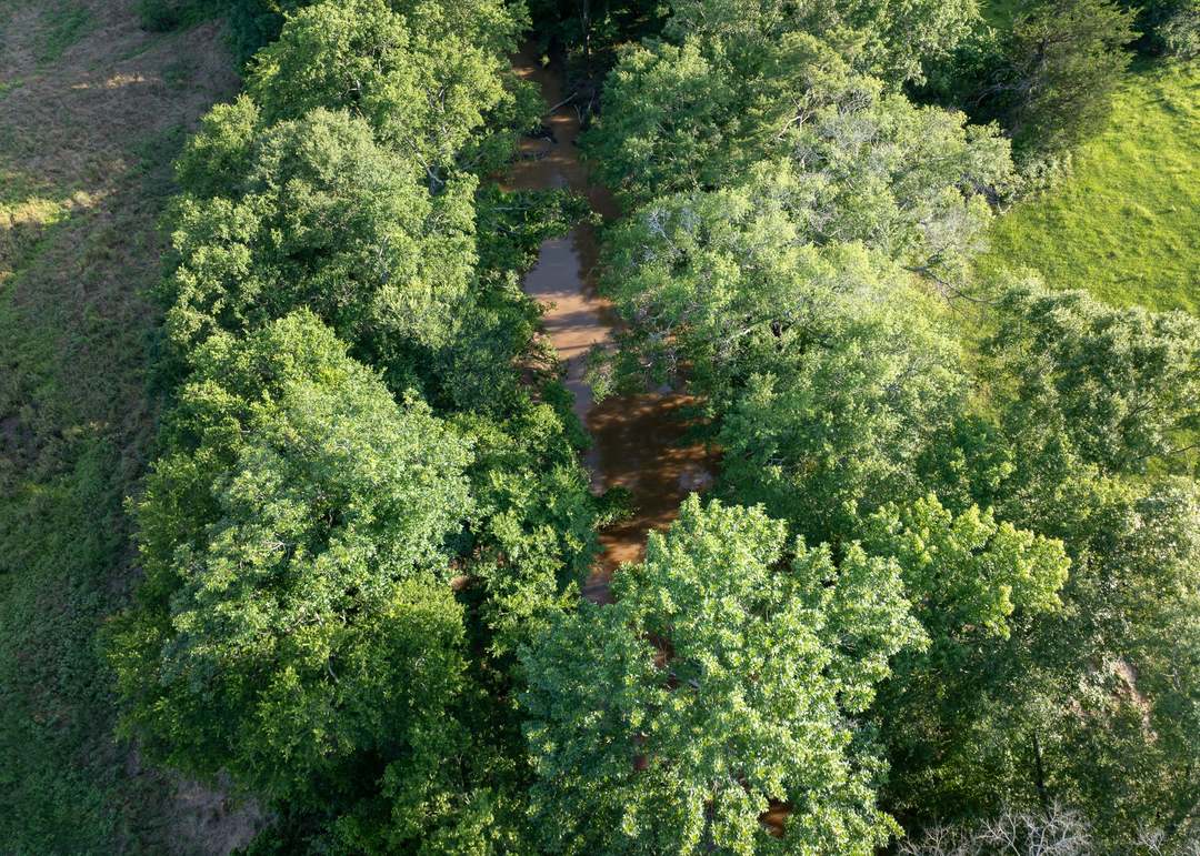 000 Highway 7, Nacogdoches, TX 75935