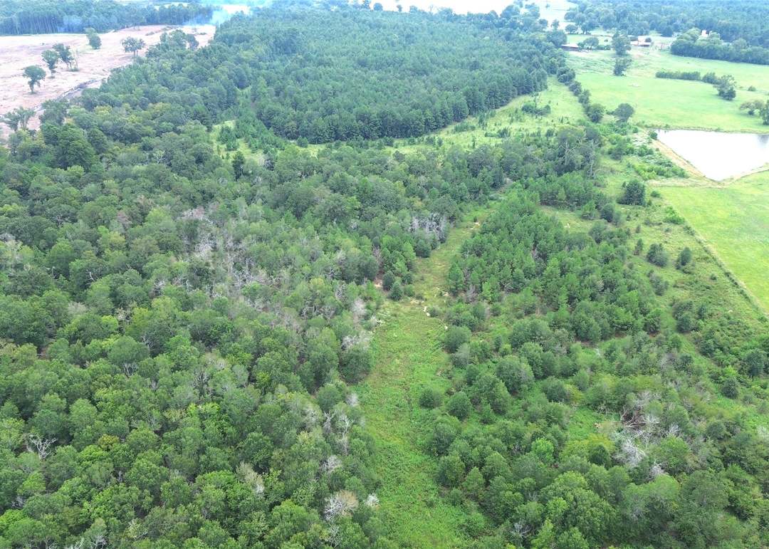 000 State Hwy 7 West, Crockett, TX 75835