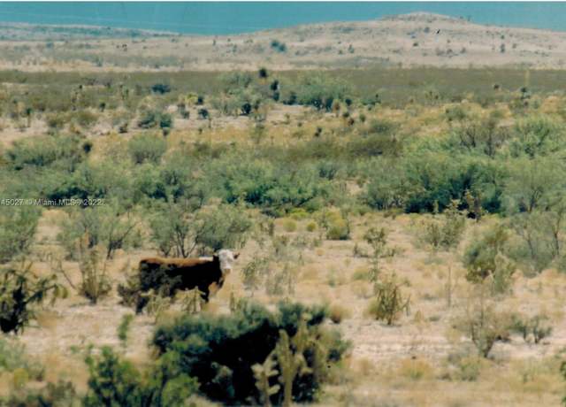 Property at Undisclosed address, TX 79839