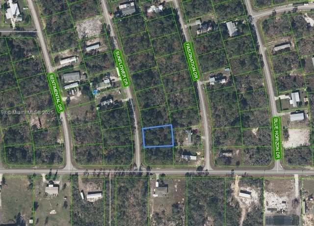 Property at 103 Sunflower Dr, Lake Placid, FL 33852