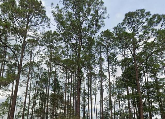 Property at 00 Greenley St, Palatka, FL 32148