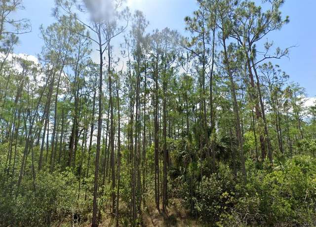 Property at 1903 Weller Ave, Lehigh Acres, FL 33972