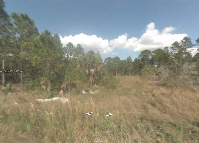 Property at 1243 E Random St, Lehigh Acres, FL 33974