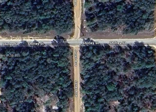 Property at 333 Janet Ave, FL 32148