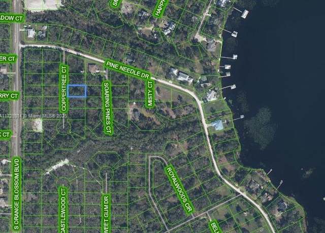 Property at 9754 Coppertree Ct, Sebring, FL 33875
