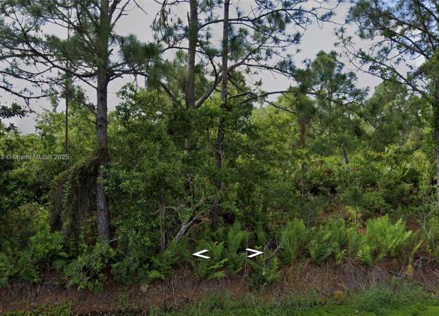 Property at 1008 NW Concorde Pkwy, Lake Placid, FL 33852