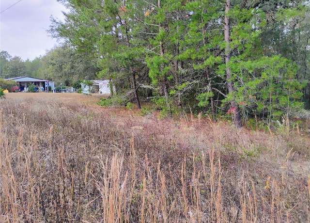 Property at 309 Wilson, Palatka, FL 32148