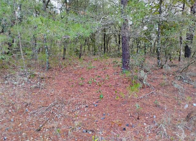 Property at 302 Kennedy, Palatka, FL 32148
