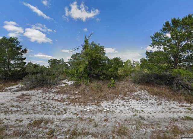 Property at 341 NE Galapagos Ave, Lake Placid, FL 33852