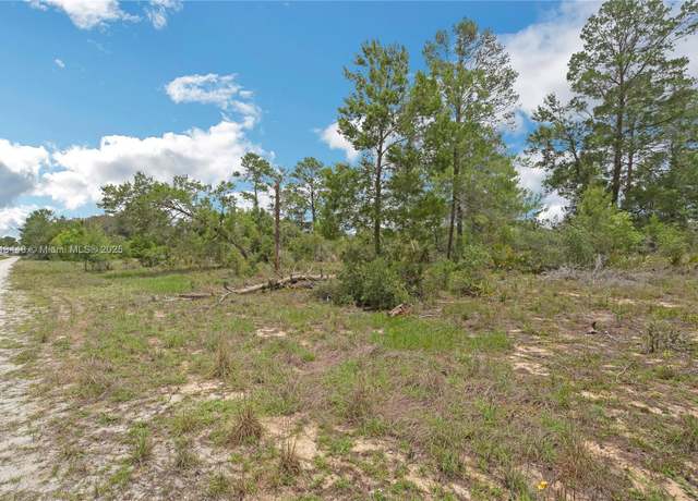 Property at 3055 Scoralick Rd,, Avon Park, FL 33825