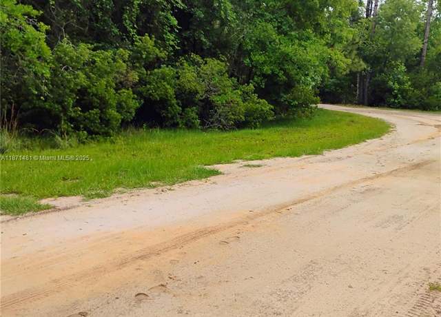 Property at 228 Atkins, Cresent City, FL 32139