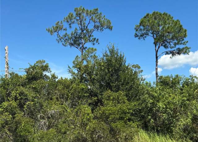 Property at 565 S Datil St, Clewiston, FL 33440