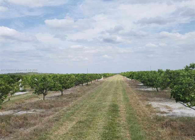 Property at 40 SE Highway 31, Other City - In The State Of Florida, FL 34266
