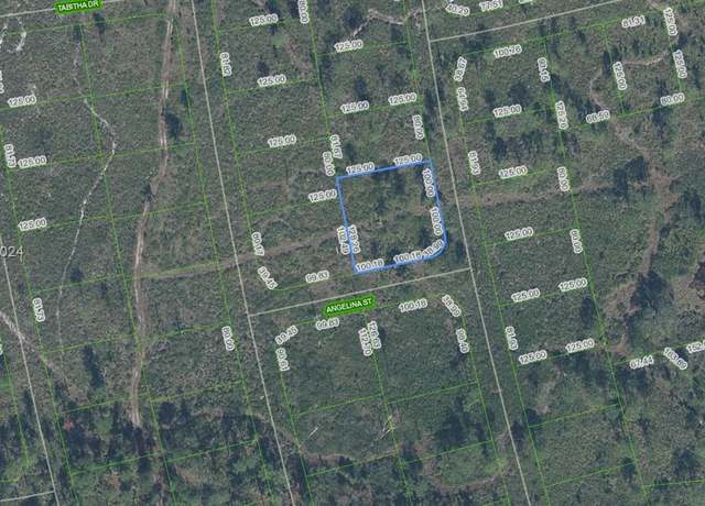 Property at 4703 San Pedro Dr, Sebring, FL 33872