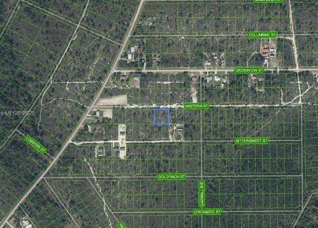 Property at 1415 Wisteria St, Lake Placid, FL 33852