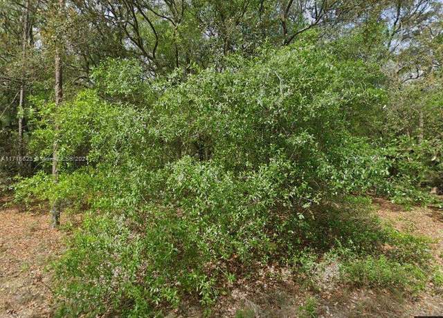 Property at 215 Wilson Ave, Other City - In The State Of Florida, FL 32148