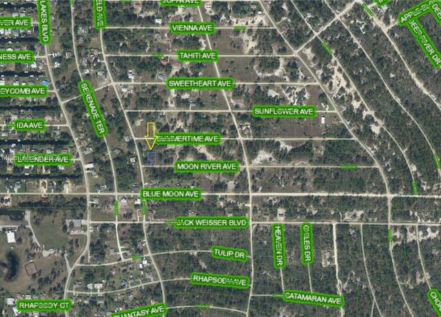 Property at 236 Moon River Ave, Lake Placid, FL 33852