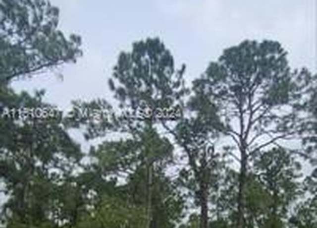 Property at 1307 W 11th St, Lehigh Acres, FL 33972