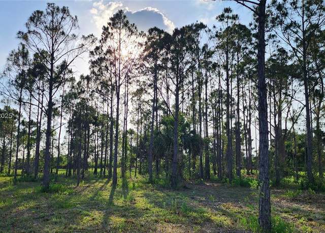 Property at 16322 NW 294 St, Okeechobee, FL 34972
