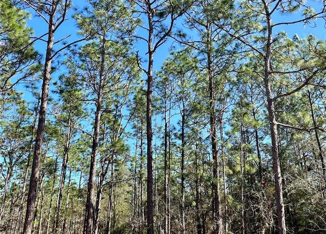 Property at Lot 10 SW 135 Ter, Ocala, FL 34481