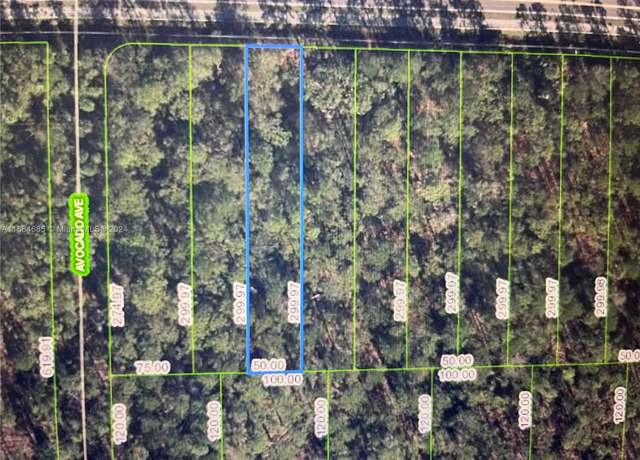 Property at 2651 Hammock Rd, Sebring, FL 33872