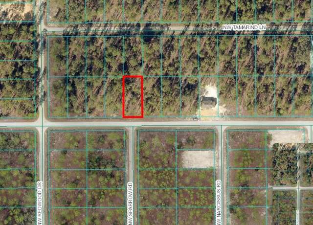 Property at TBD NW Amberjack Ave, Other City - In The State Of Florida, FL 34431