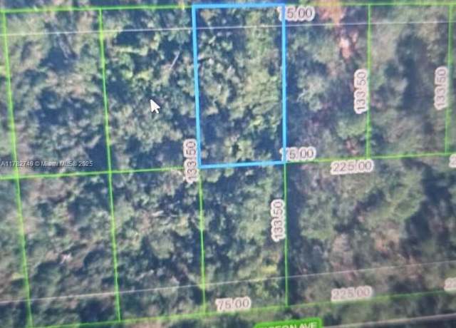 Property at 234 Swift Ave, Sebring, FL 33870