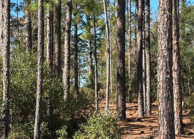 Property at 00 SW 209th Ave, Other City - In The State Of Florida, FL 34431
