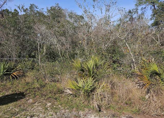 Property at 0 Undetermined, Ocala, FL 34472