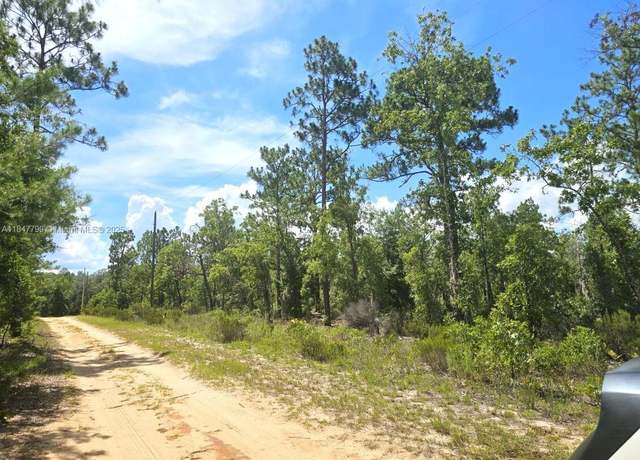 Property at 118 Utah, FL 32640