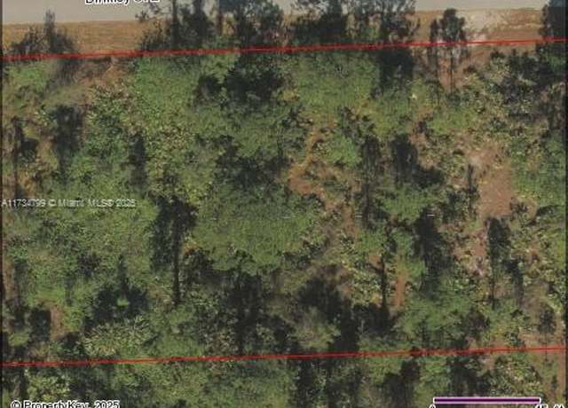 Property at 1018 E Binkley, Lehigh Acres, FL 33974