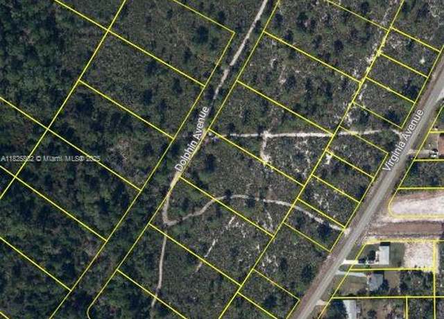 Property at 719 Dolphin Ave, Lake Placid, FL 33852
