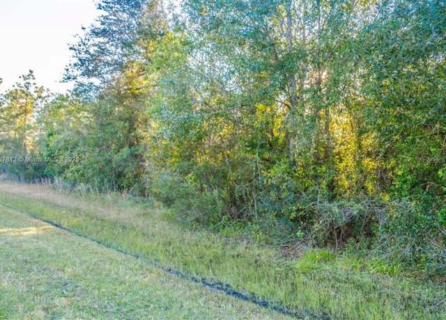 Property at 0 N Dallas Blvd, Orlando, FL 32833