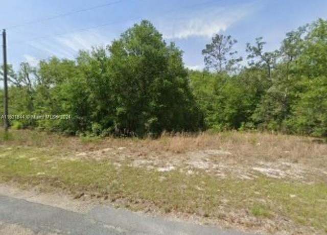 Property at 11358 N Terra Cotta Dr, Citrus Springs, FL 34434