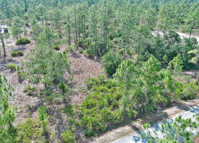 Property at 317 Fitch Ave, Lehigh Acres, FL 33936