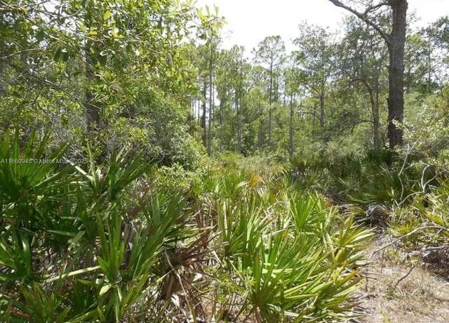 Property at 3010 Brownwood Dr, Sebring, FL 33875
