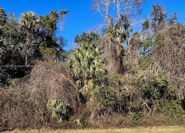 Property at 11147 W State Park St, Other City - In The State Of Florida, FL 34428