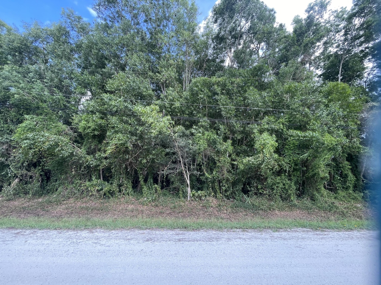 Xxx 129th Ave N, The Acreage, FL 33411 MLS RX10831825 Redfin