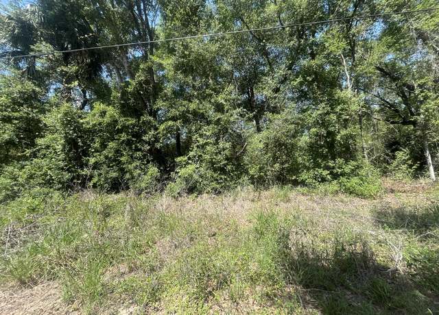 Property at Tbd NE 170th Ct, Silver Springs, FL 34488