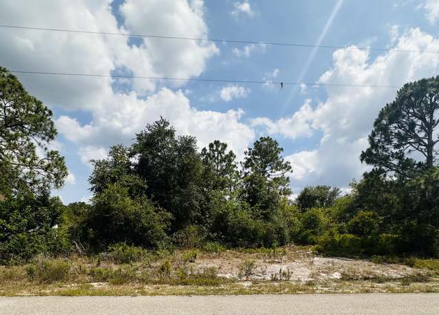 Property at 253 Joppa Ave, Lake Placid, FL 33852