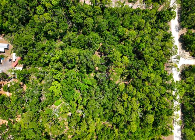 Property at Tbd NE 899th St, Old Town, FL 32680