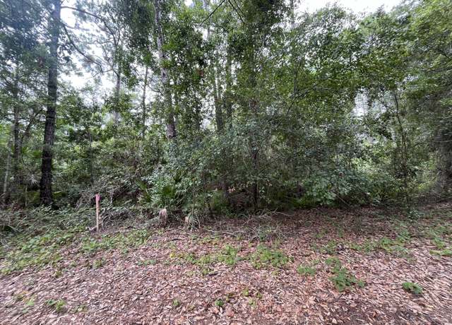 Property at 223 Ward Ave, Crescent City, FL 32112