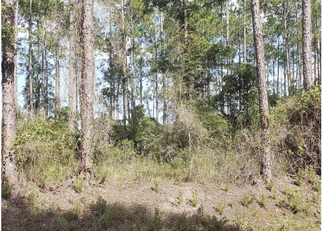 Property at 10235 Amos Ave, Hastings, FL 32145
