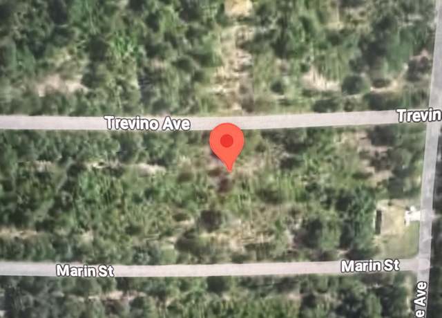 Property at 7919 Trevino Ave, Sebring, FL 33872