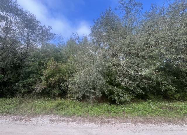 Property at Tbd 132nd Ave, Dunnellon, FL 34432