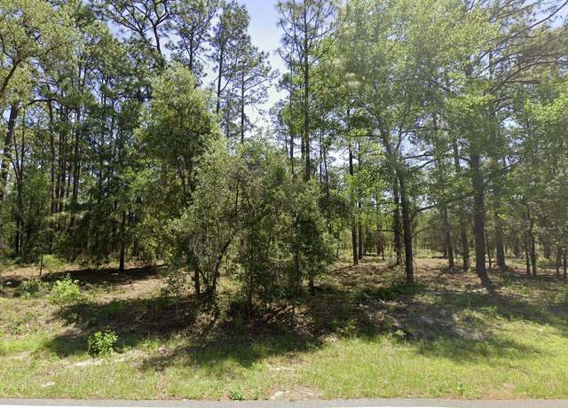 Property at Tbd NW Ridgewood Rd, Dunnellon, FL 34431