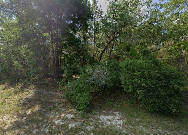 Property at Tbd 79th Ter, Dunnellon, FL 34432