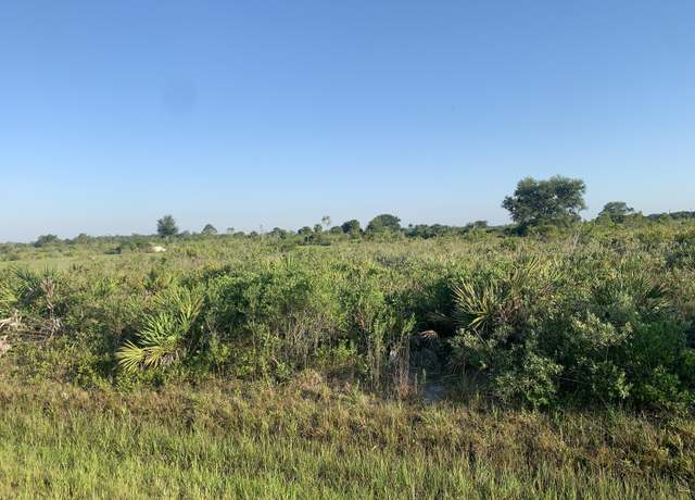 Property at 19142 NW 264th St, Okeechobee, FL 34972