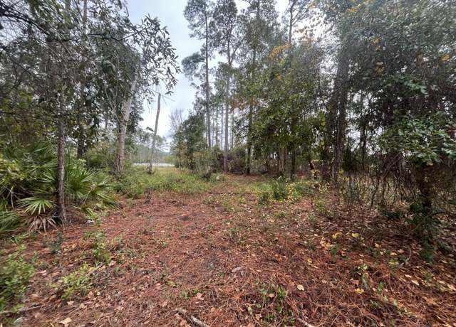 Property at Tbd Susan St, Interlachen, FL 32148