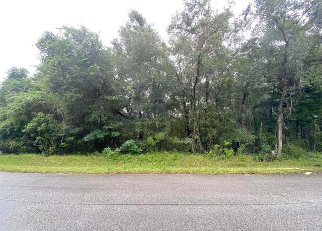 Property at 425 E Elgrove Dr, Citrus Springs, FL 34434